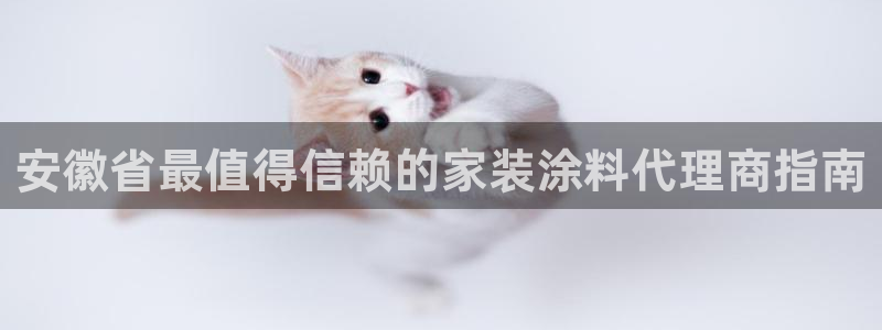 和记ag旗舰厅app：安徽省最值得信赖的家装涂料代理商指南