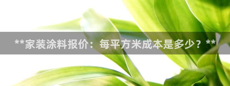 深圳和记科技有限公司：**家装涂料报价：每平方米成本是多少？**