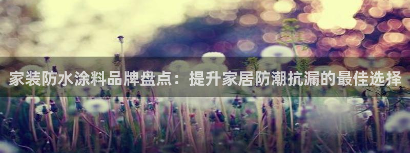 和记网页版：家装防水涂料品牌盘点：提升家居防潮抗漏的最佳选择