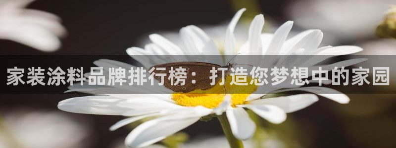 和记国际听：家装涂料品牌排行榜：打造您梦想中的家园