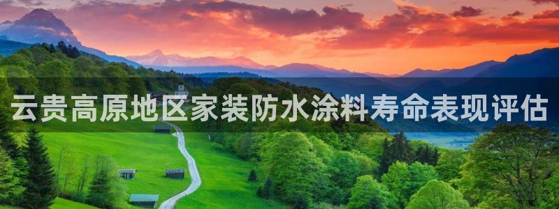 和记国际听