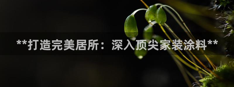和记国际听