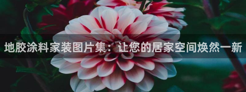 和记官方网址：地胶涂料家装图片集：让您的居家空间焕然一新