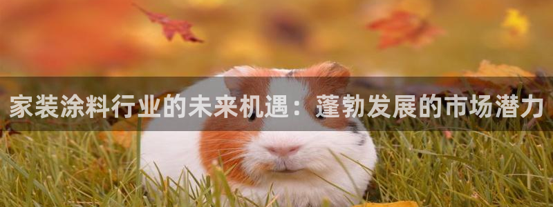 和记官方直营注册