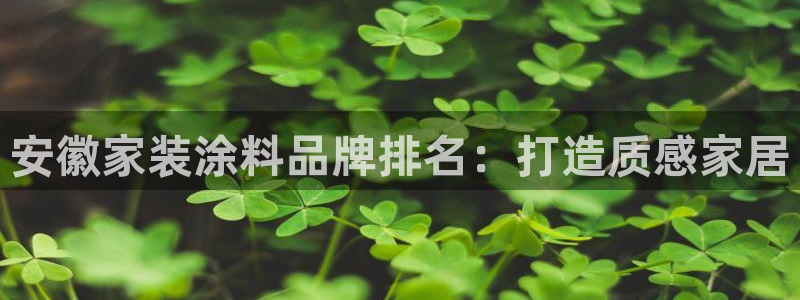 和记官方直营注册导航：安徽家装涂料品牌排名：打造质感家居