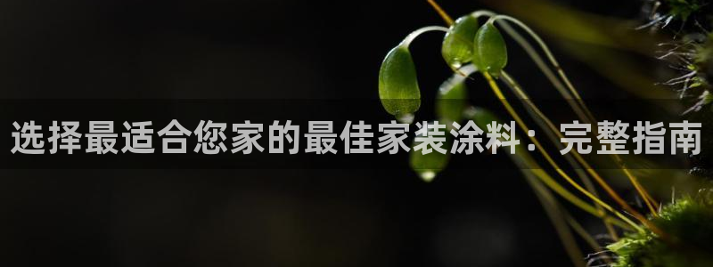 上海和记餐饮有限公司