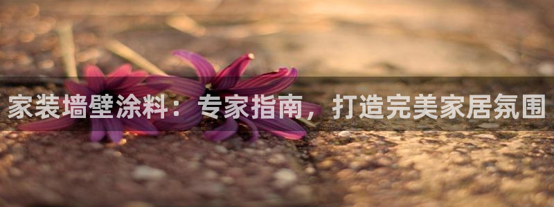 和记平台登录：家装墙壁涂料：专家指南，打造完美家居氛围