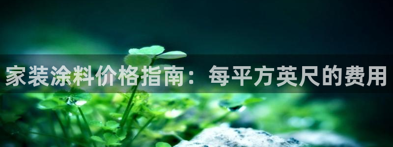 和记 中国官网：家装涂料价格指南：每平方英尺的费用