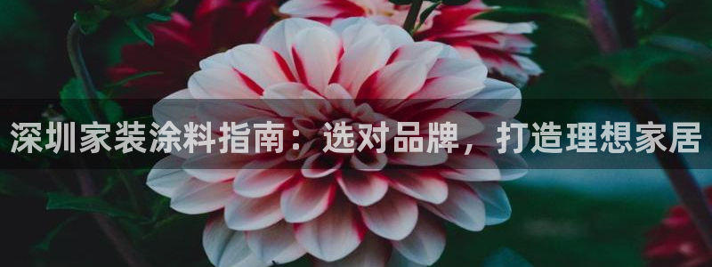 和记AG旗舰：深圳家装涂料指南：选对品牌，打造理想家居