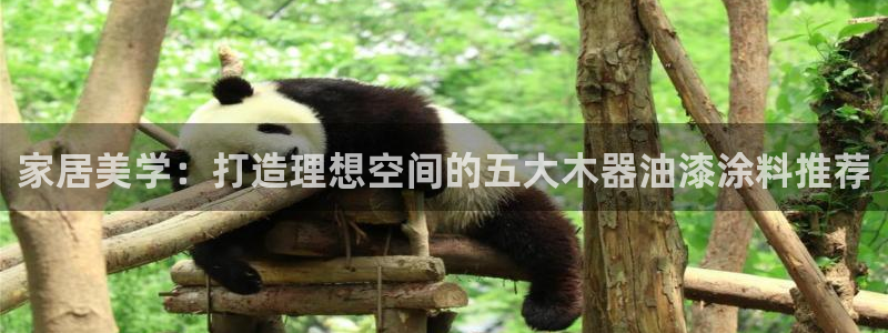 和记h88最新客户端下载