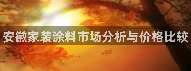 和记 中国官网：安徽家装涂料市场分析与价格比较