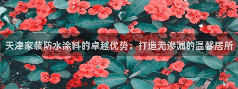 和记平台登陆：天津家装防水涂料的卓越优势：打造无渗漏的温馨居所