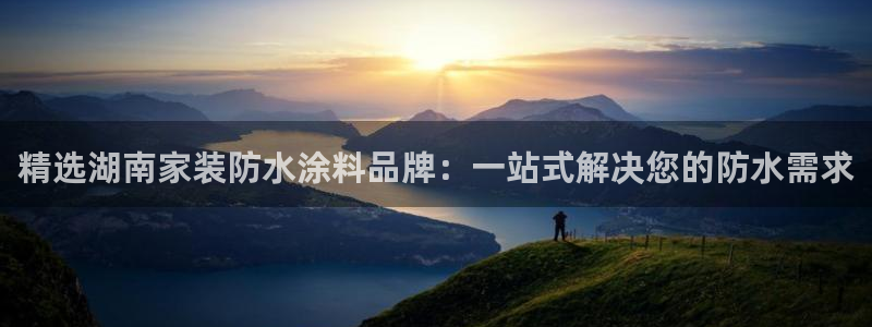 上海和记餐饮：精选湖南家装防水涂料品牌：一站式解决您的防水需求