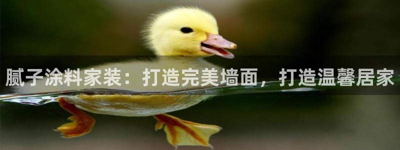 和记平台登陆：腻子涂料家装：打造完美墙面，打造温馨居家