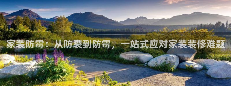 和记ag旗舰：家装防霉：从防裂到防霉，一站式应对家装装修难题