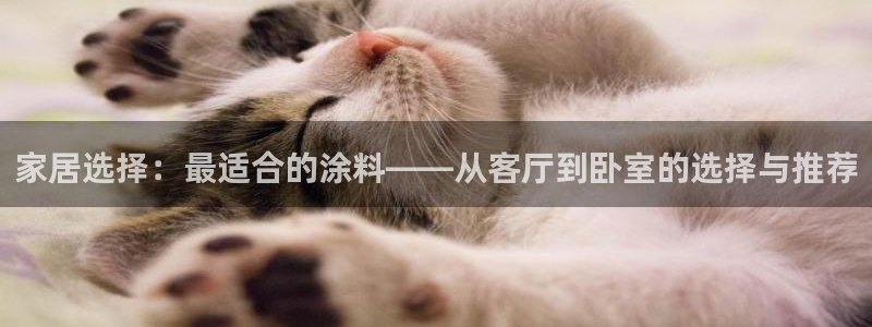 江苏和记数码科技有限公司：家居选择：最适合的涂料——从客厅到卧室的选择与推荐