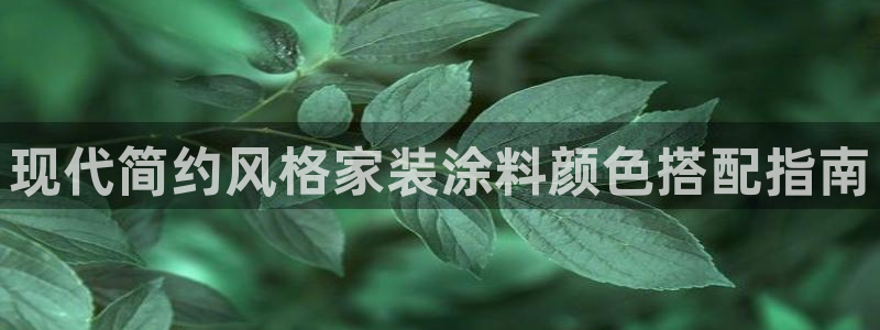 和记官网登录：现代简约风格家装涂料颜色搭配指南