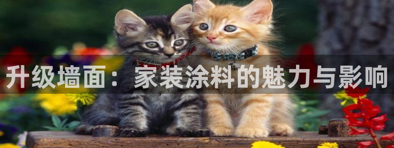 和记网页版