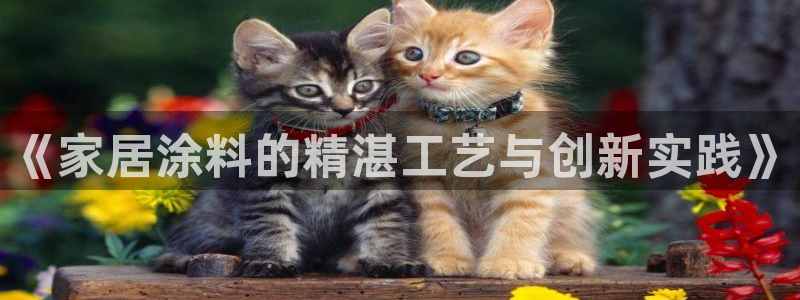 和记下载：《家居涂料的精湛工艺与创新实践》
