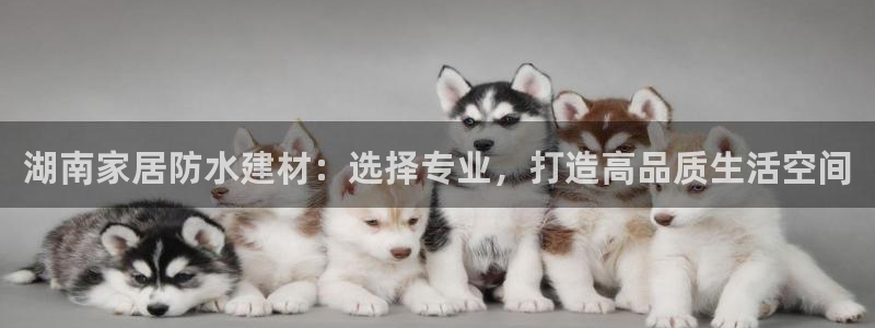 和记AG网站