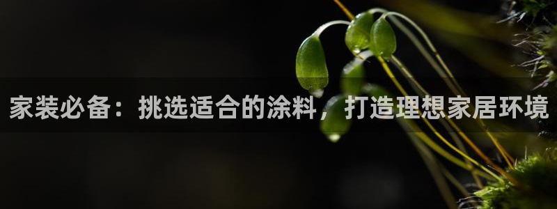 和记ag：家装必备：挑选适合的涂料，打造理想家居环境