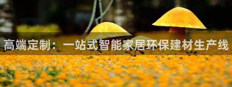 和记国际官网官网