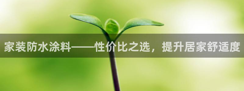 和记ag旗舰：家装防水涂料——性价比之选，提升居家舒适度