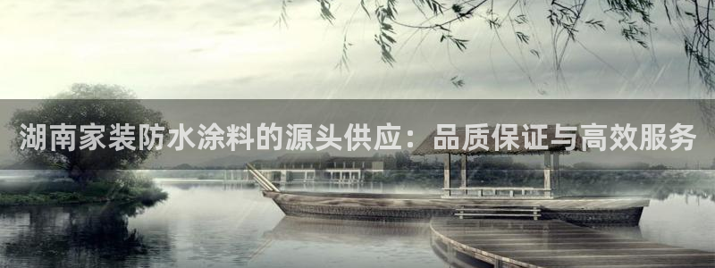 和记pc：湖南家装防水涂料的源头供应：品质保证与高效服务