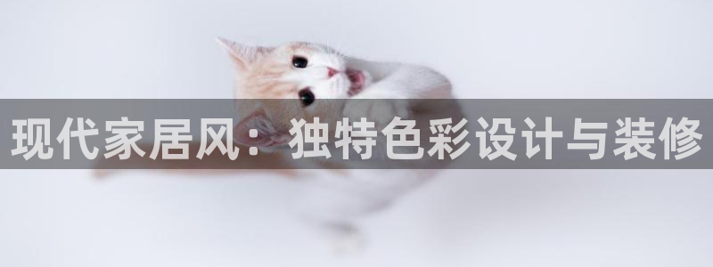 青岛大生和记餐饮管理有限公司：现代家居风：独特色彩设计与装修
