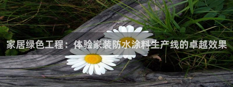 和记平台下载：家居绿色工程：体验家装防水涂料生产线的卓越效果