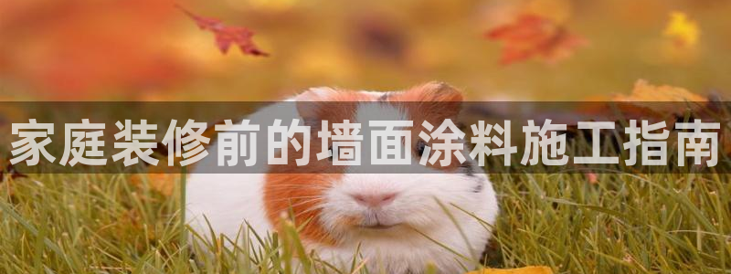 和记官网[中国]官方网站：家庭装修前的墙面涂料施工指南