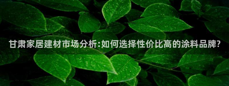 和记h88最新客户端下载：甘肃家居建材市场分析:如何选择性价