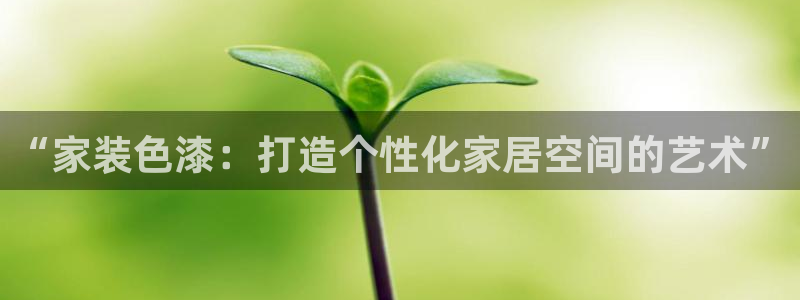 和记ag：“家装色漆：打造个性化家居空间的艺术”