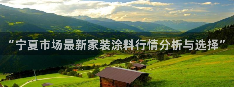 和记官方平台：“宁夏市场最新家装涂料行情分析与选择”