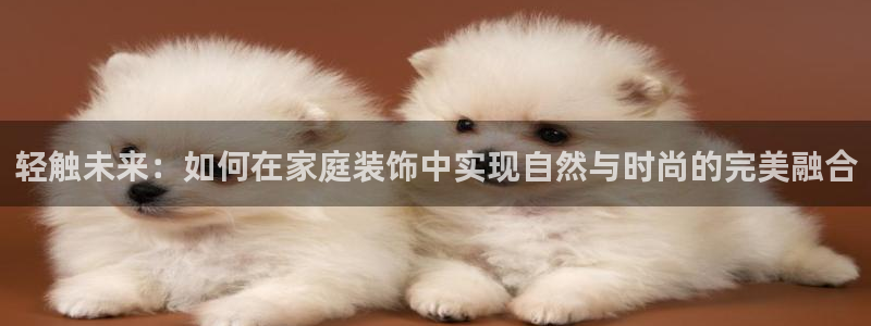 和记ag旗舰