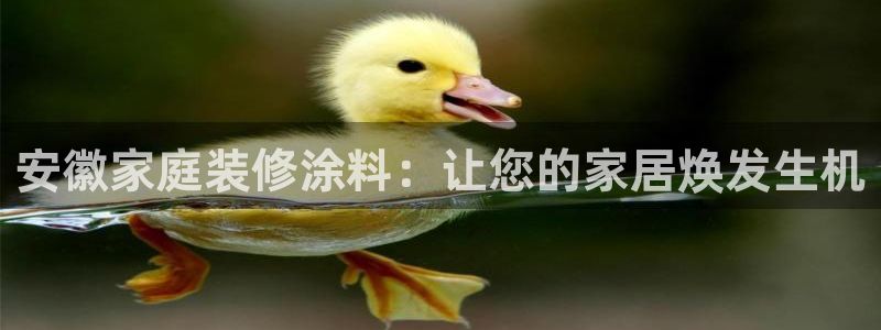 和记官网登陆：安徽家庭装修涂料：让您的家居焕发生机