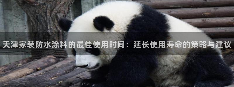 和记电业集团：天津家装防水涂料的最佳使用时间：延长使用寿命的策略与建议