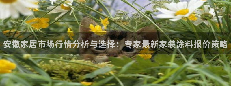 和记官方直营：安徽家居市场行情分析与选择：专家最新家装涂料报价策略