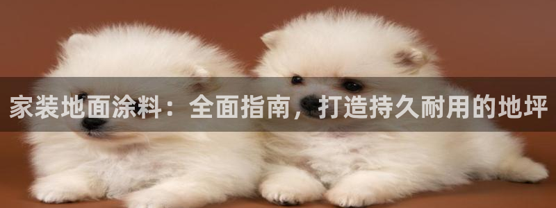 和记 首页：家装地面涂料：全面指南，打造持久耐用的地坪