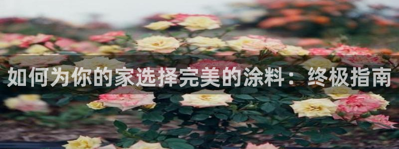 和记平台官方网