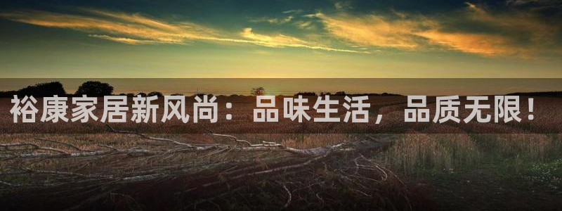 和记登陆：裕康家居新风尚：品味生活，品质无限！