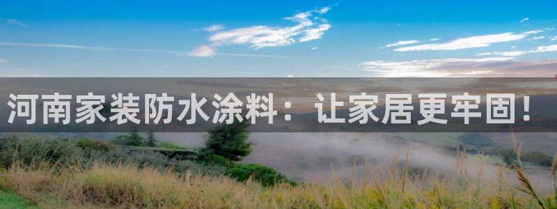 和记官方平台：河南家装防水涂料：让家居更牢固！