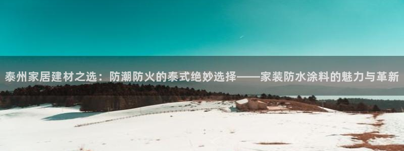 下载和记app：泰州家居建材之选：防潮防火的泰式绝妙选择——家装防水涂料的魅力与革新