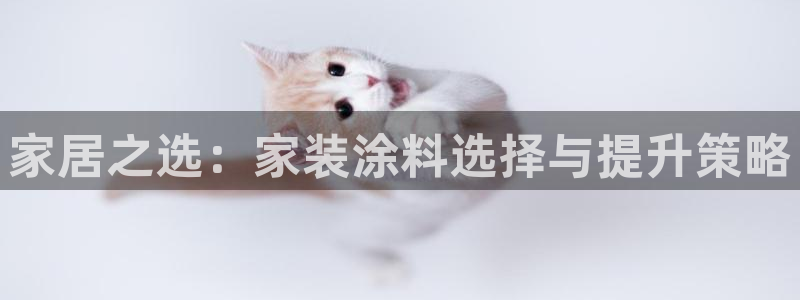 和记ag旗舰：家居之选：家装涂料选择与提升策略