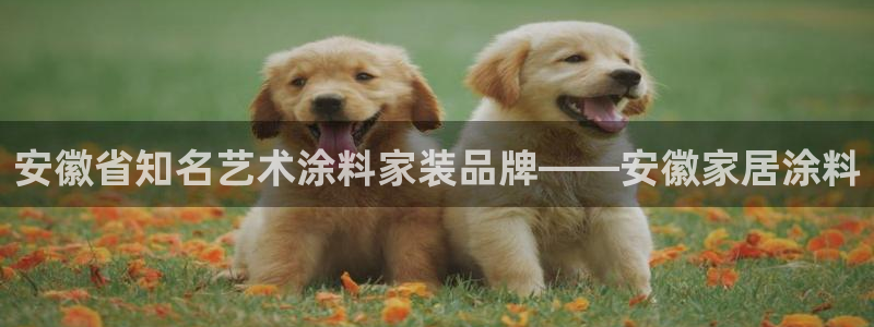 和记 官网：安徽省知名艺术涂料家装品牌——安徽家居涂料