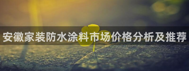 和记(福建)商贸有限公司：安徽家装防水涂料市场价格分析及推荐