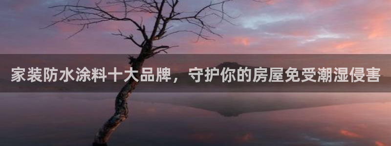 和记国际客服：家装防水涂料十大品牌，守护你的房屋免受潮湿侵害
