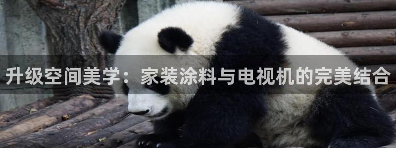 和记官方直营：升级空间美学：家装涂料与电视机的完美结合