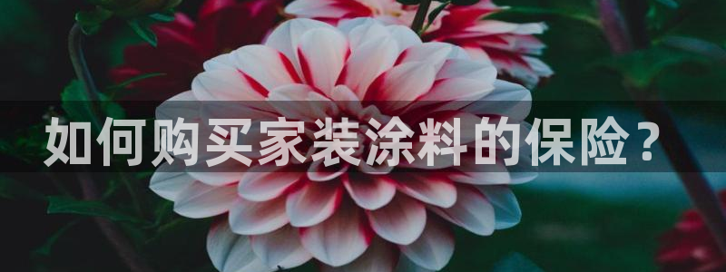 和记注册有什么送的：如何购买家装涂料的保险？