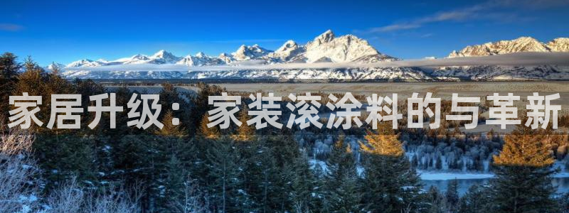 和记官方直营：家居升级：家装滚涂料的与革新